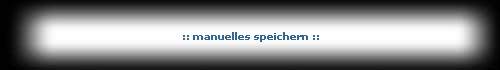 :: manuelles speichern ::